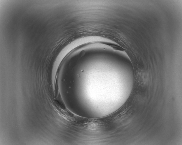 X0000061150412200511181239