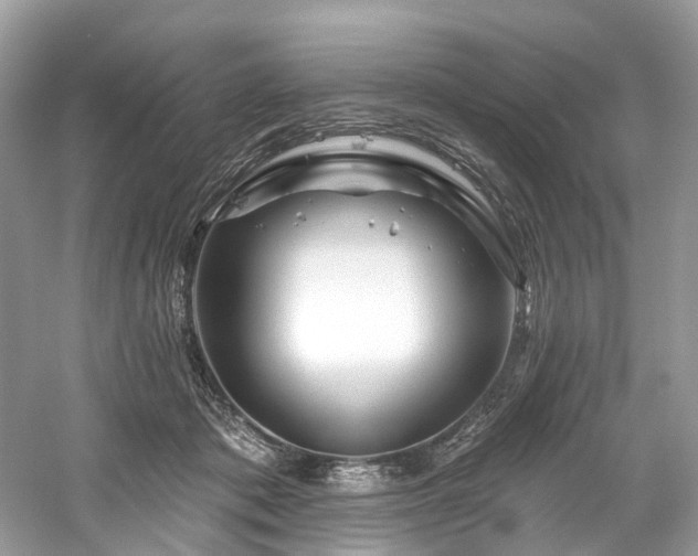 X0000061150413200511181239