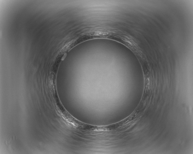 X0000061150415200511181239