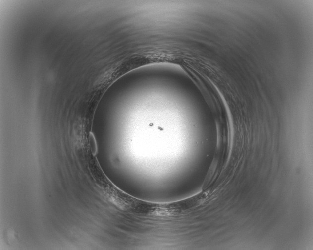 X0000061150416200511181239