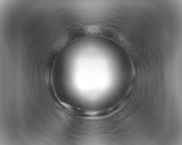 X0000061150417200511181239