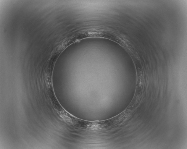 X0000061150419200511181239