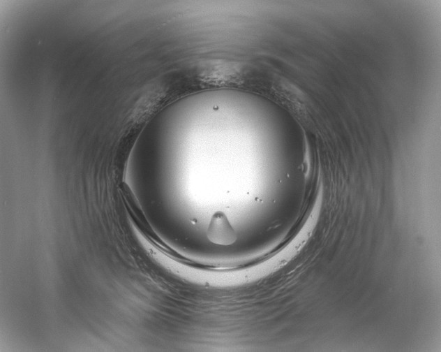 X0000061150420200511181239