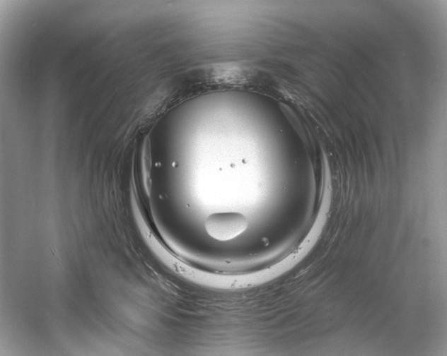 X0000061150424200511181239