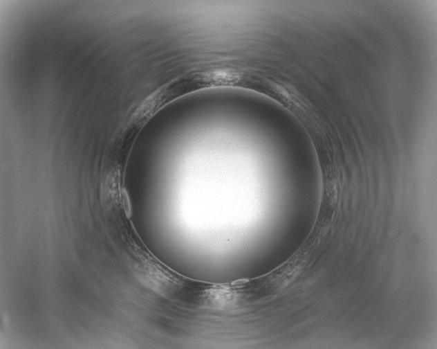 X0000061150425200511181239