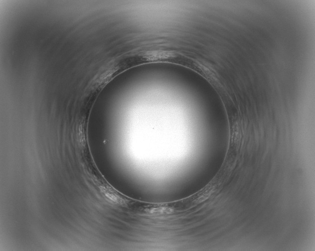 X0000061150426200511181239