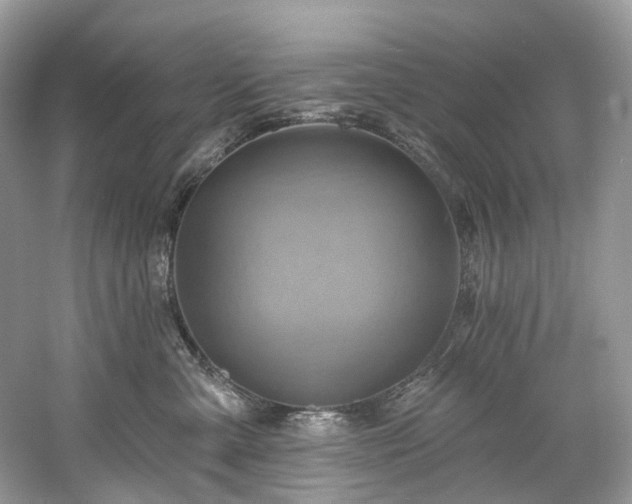 X0000061150427200511181239