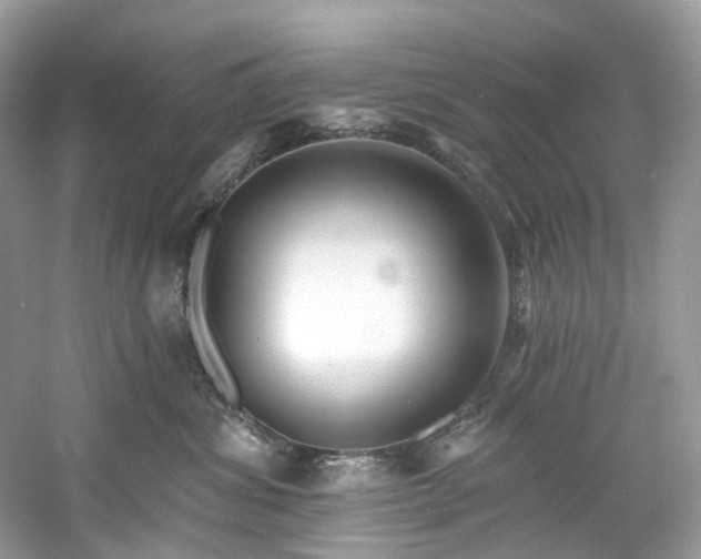 X0000061150428200511181239