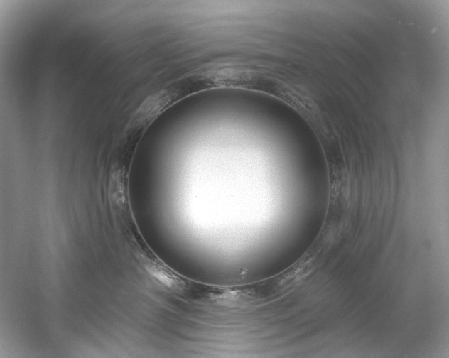 X0000061150430200511181239