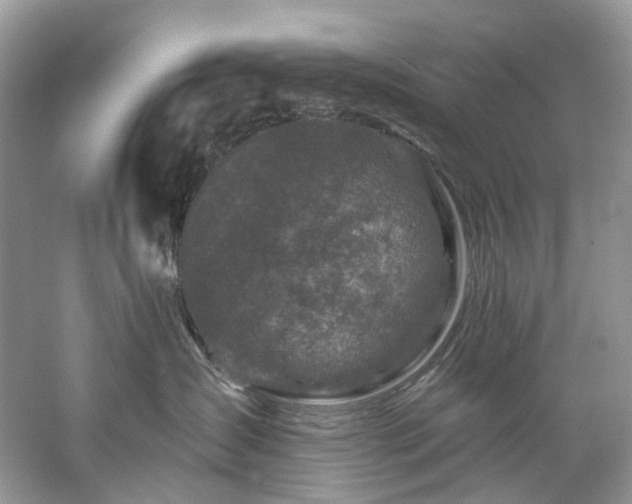 X0000061150431200511181239