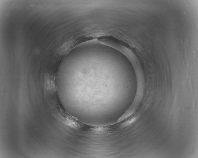 X0000061150432200511181239