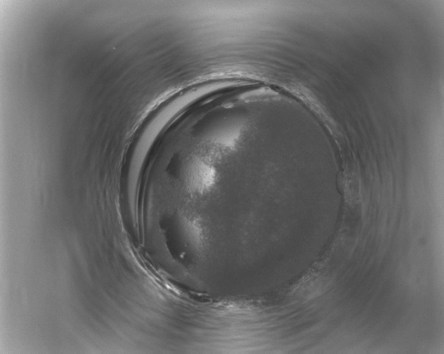 X0000061150434200511181238