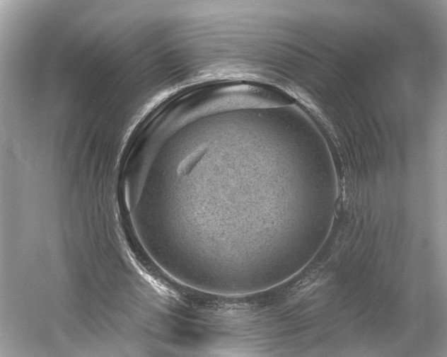 X0000061150438200511181238