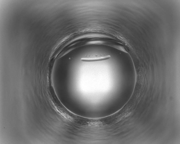 X0000061150446200511181238