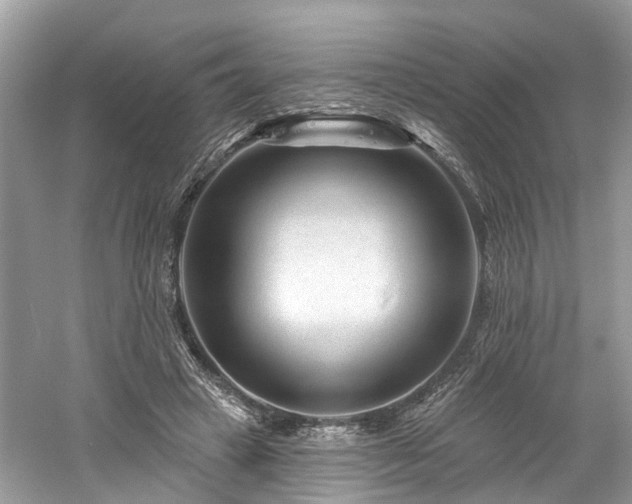 X0000061150449200511181238