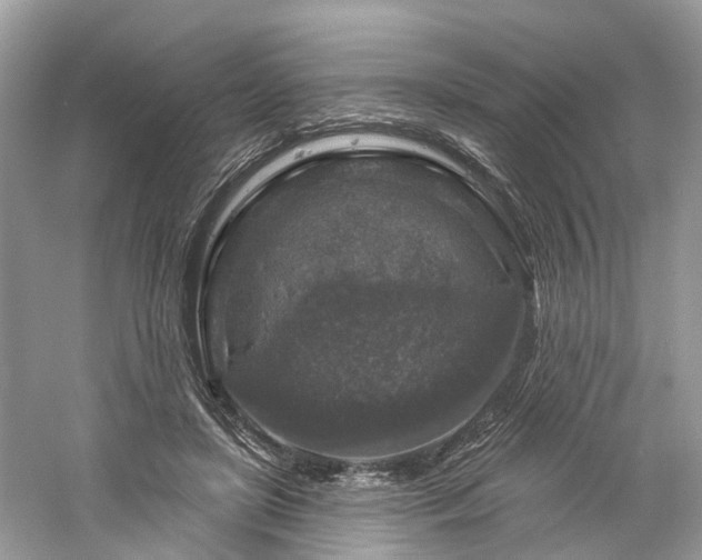 X0000061150451200511181239