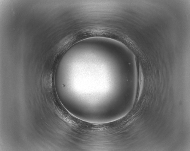 X0000061150454200511181239