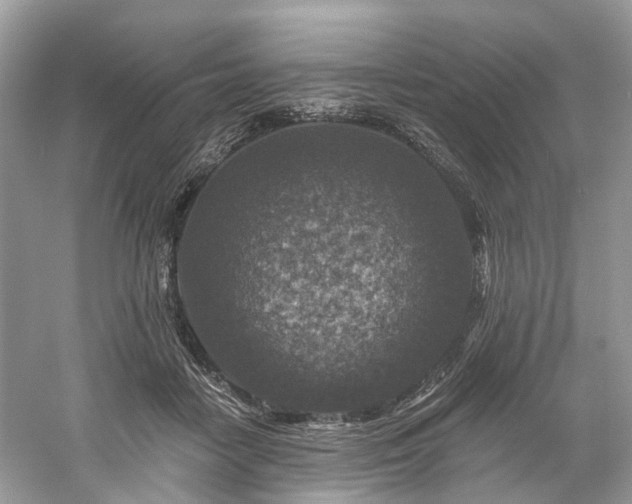 X0000061150458200511181239