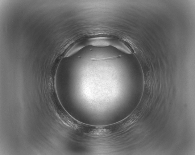 X0000061150459200511181239