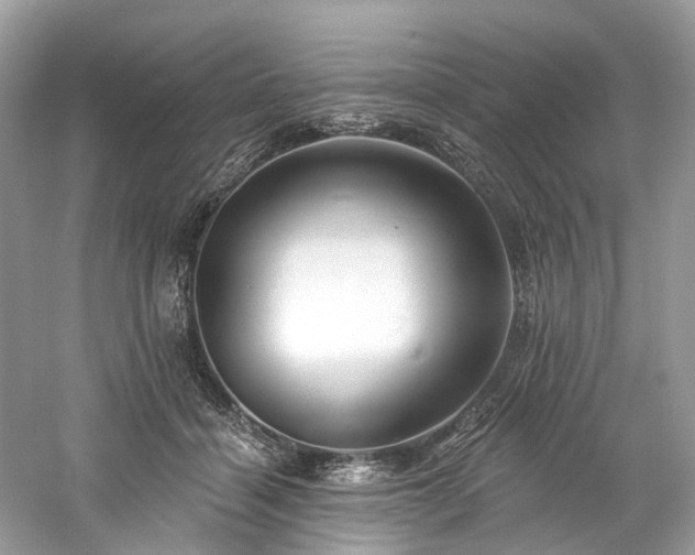 X0000061150460200511181239