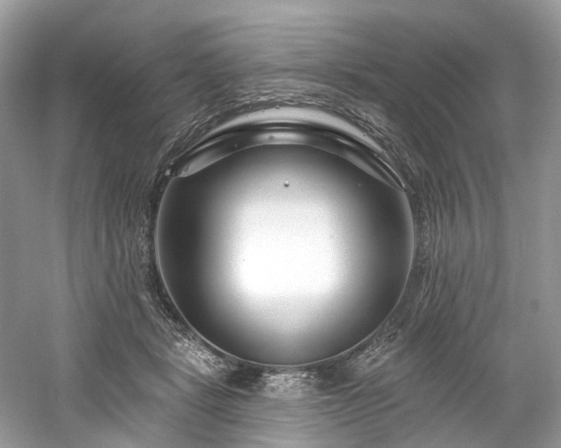 X0000061150461200511181239