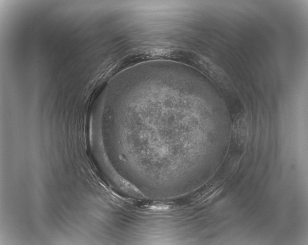 X0000061150462200511181239