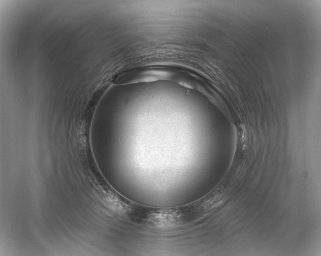 X0000061150466200511181239