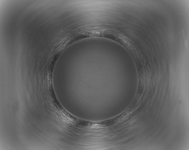 X0000061150467200511181239