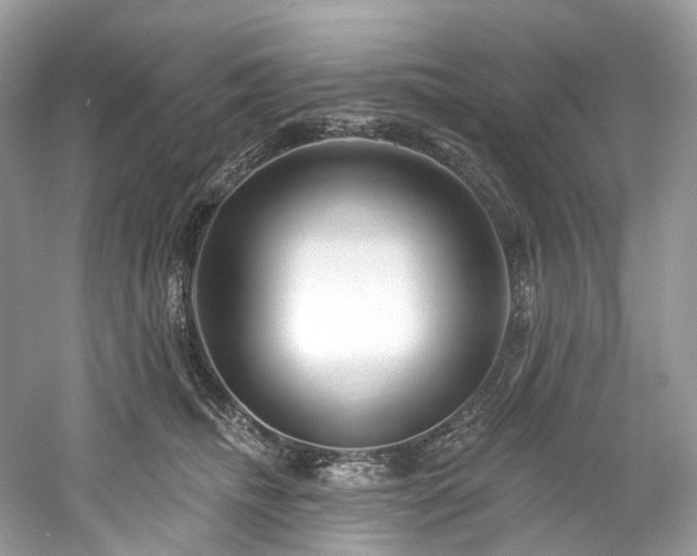 X0000061150468200511181239