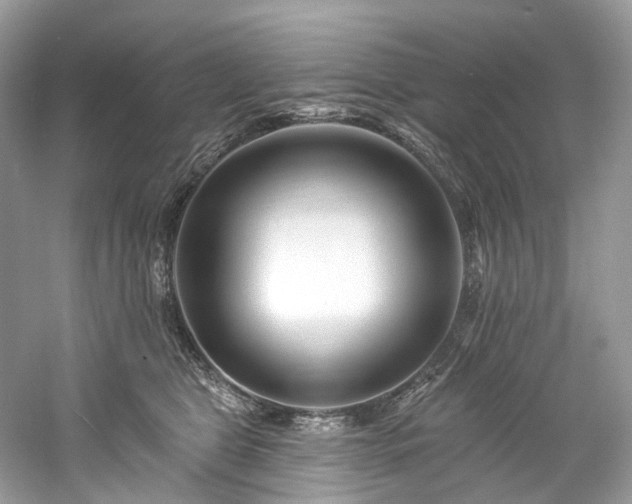 X0000061150469200511181239