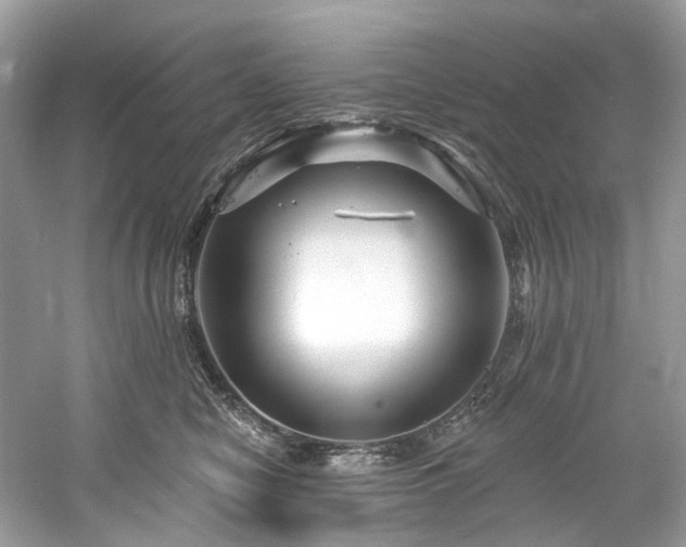 X0000061150470200511181239