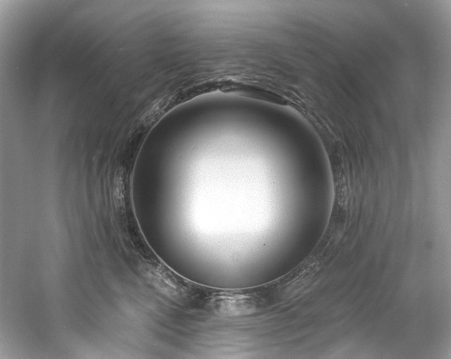 X0000061150472200511181239