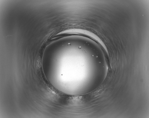 X0000061150474200511181239