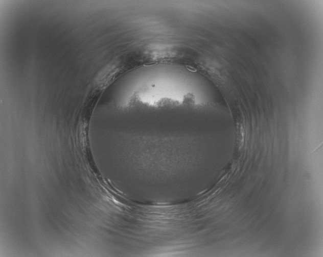 X0000061150475200511181239