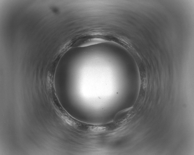 X0000061150476200511181239