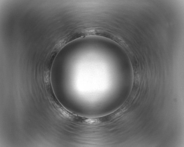 X0000061150477200511181239