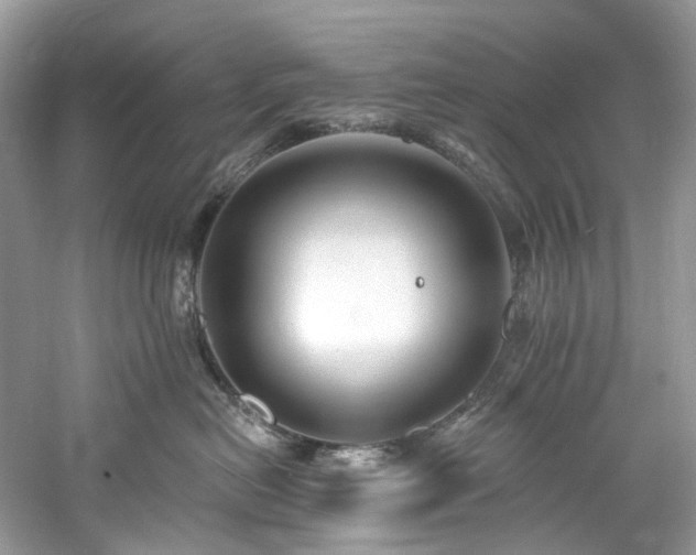 X0000061150478200511181239