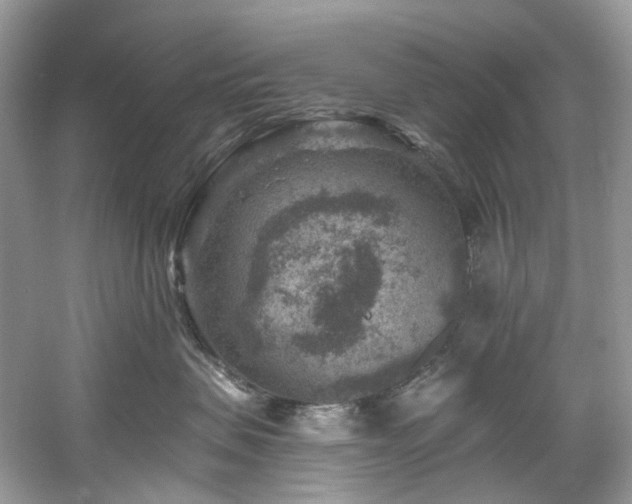 X0000061150479200511181239