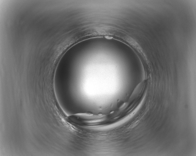 X0000061150481200511181238