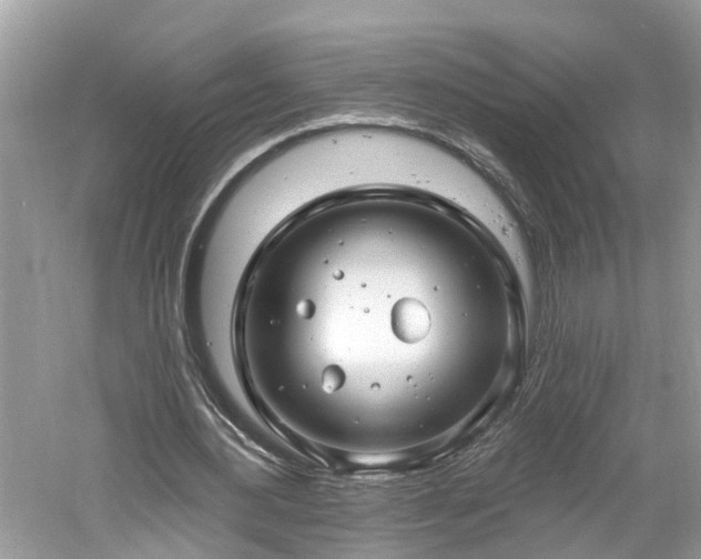 X0000061150484200511181238