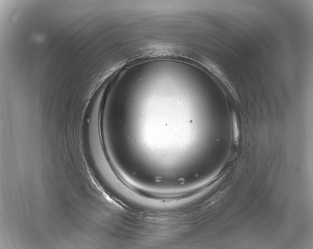 X0000061150485200511181238