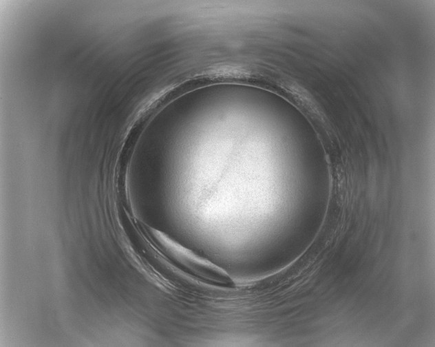 X0000061150487200511181238