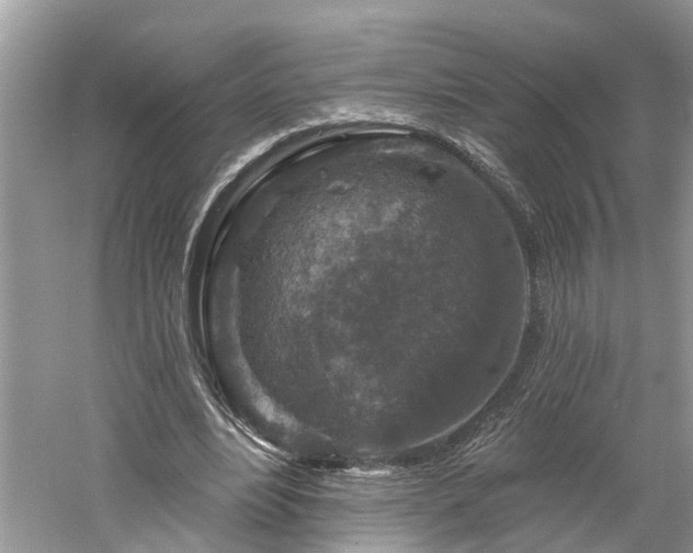 X0000061150488200511181238