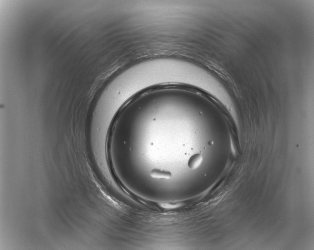 X0000061150489200511181238