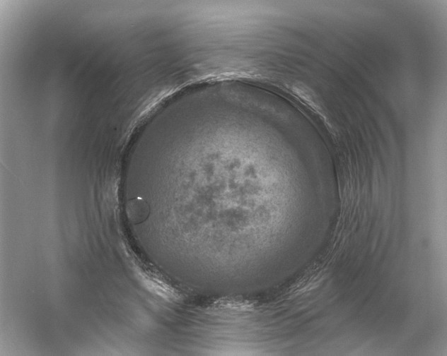 X0000061150491200511181238