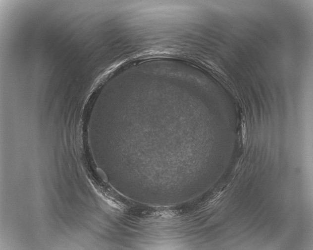 X0000061150492200511181238