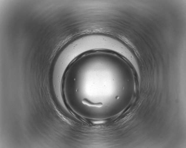 X0000061150493200511181238