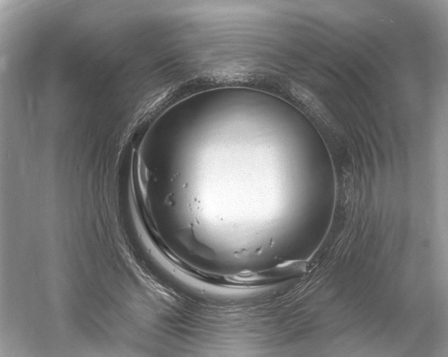 X0000061150494200511181238