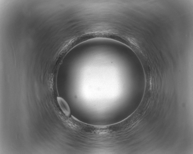 X0000061150495200511181238