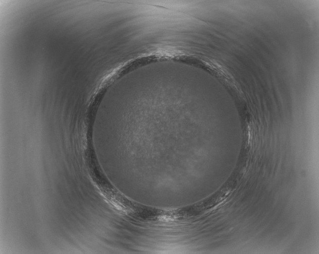 X0000061150496200511181238